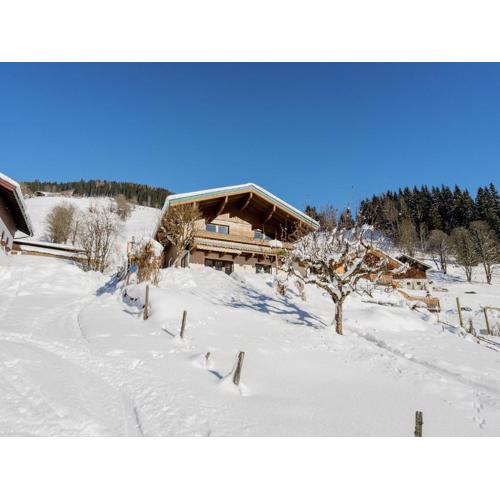 Apartment in Viehhofen near Ski Lifts