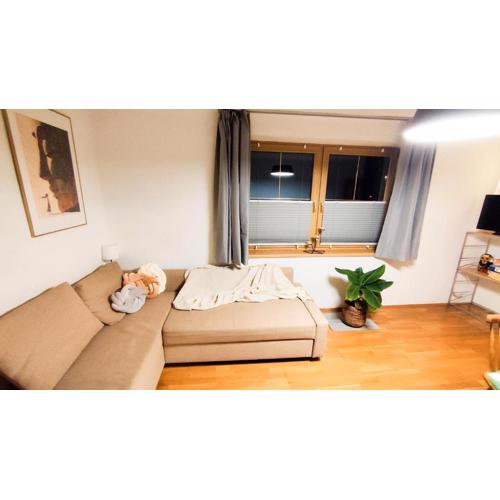 Apartment Mizi