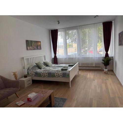 Apartment Monchi