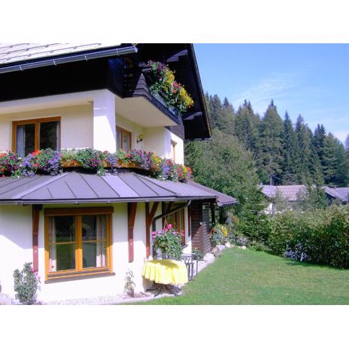 Apartment Nassfeld near Ski Slopes