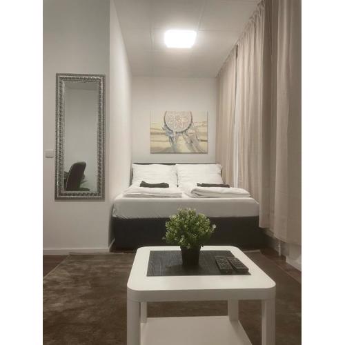 Apartment near Center