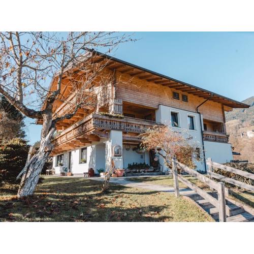 Apartment Wildkogel 1 by Interhome
