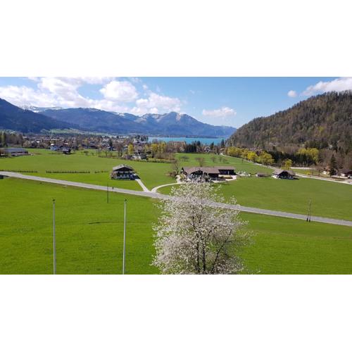 Apartment Wolfgangsee