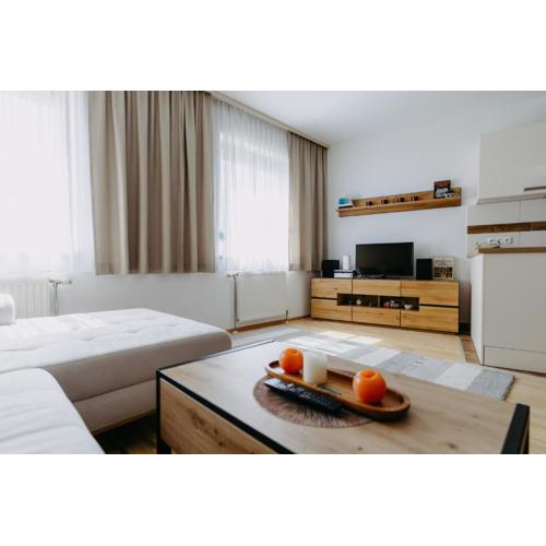 Apartment Zentral