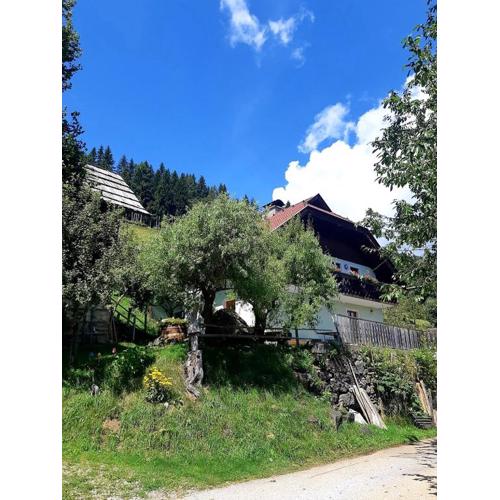 Apartments Berghof Familie Steinwender