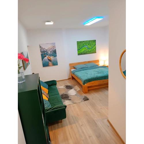 Apartments Romantic and Family Room Zemlinski