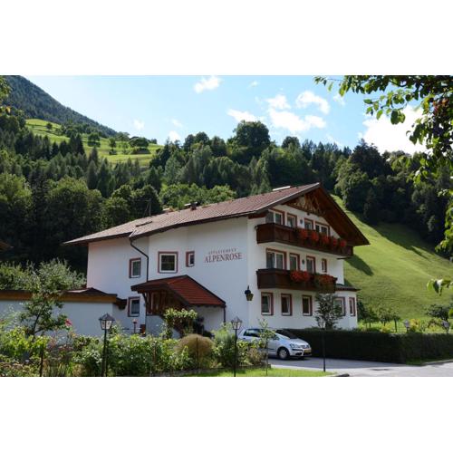 Appartement Alpenrose