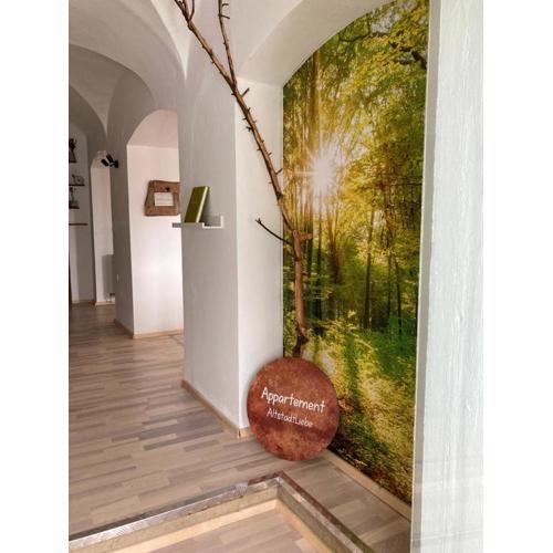 Appartement AltstadtLiebe