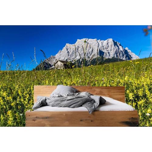 Appartement Ambrosius