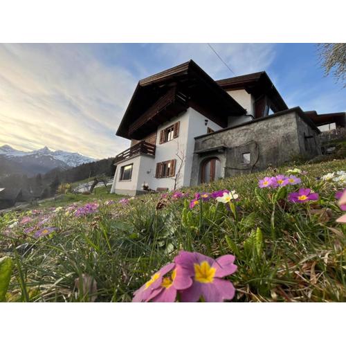 Appartement Haus Honold