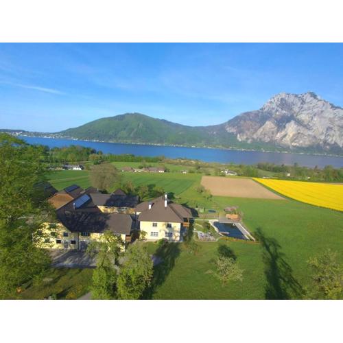 Appartement In Altmünster Am Traunsee Mit Panoramablick