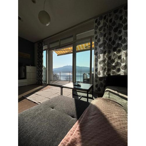 Appartement mit Seeblick & Seezugang