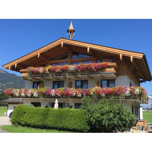 Appartement Pointschneiderhof