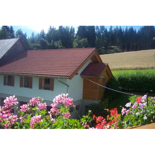 Appartement Steiner