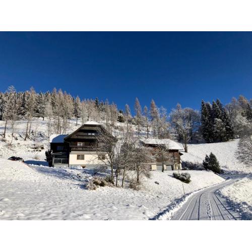 Appartement VIDMAR-WINTERTRAUM
