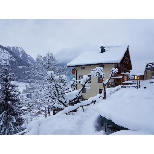 Appartementhaus Gastein / Haus Sammie