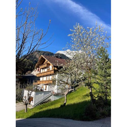 Appartements Alpenblick
