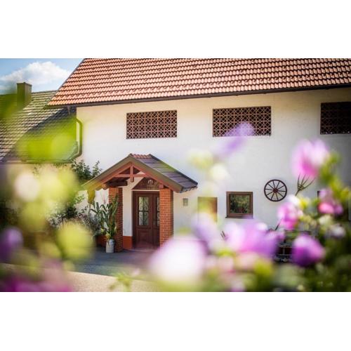 Appartements und Vinoteka DAVID
