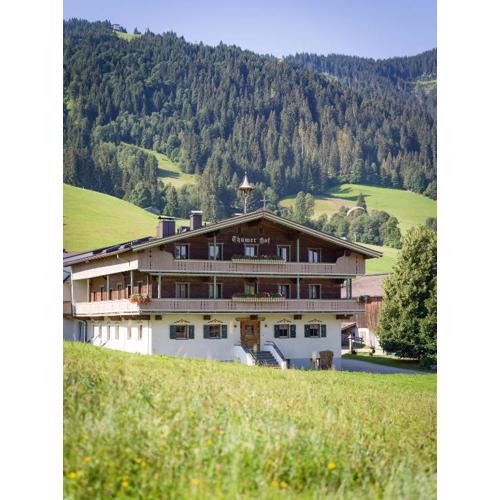 Appartment Thumerhof Wildschönau