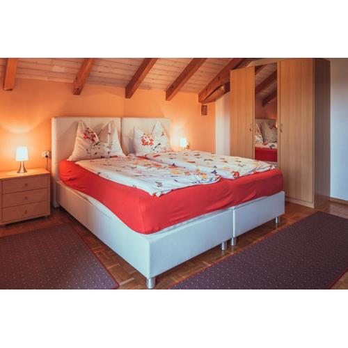 Armonia Altach, 2-6 P, 2 Schlafzimmer, Küche, Parkplatz, Balkon, Wifi, Garten, Stellplatz für Ski
