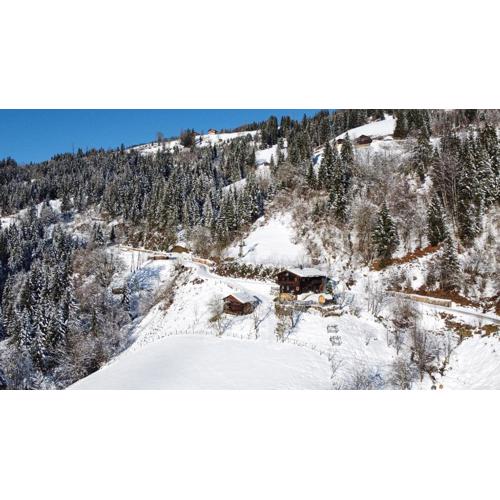 Artlieb Hütte