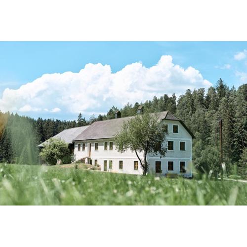 Auszeit am Kamp - Ferienhaus Rametsteiner