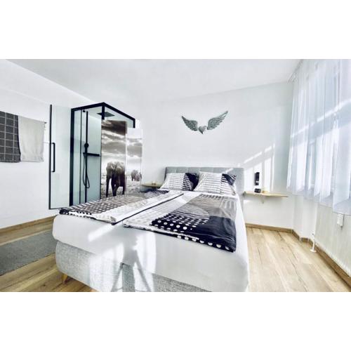 BacherlHouse - Apt Steinbach