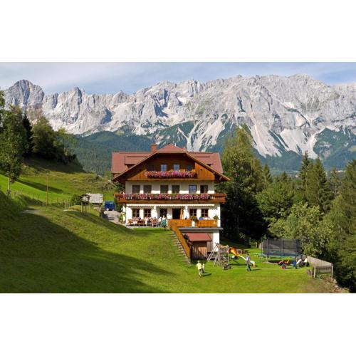Bankwirt