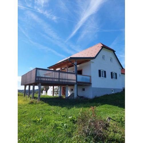 Baronigg Weingartengut