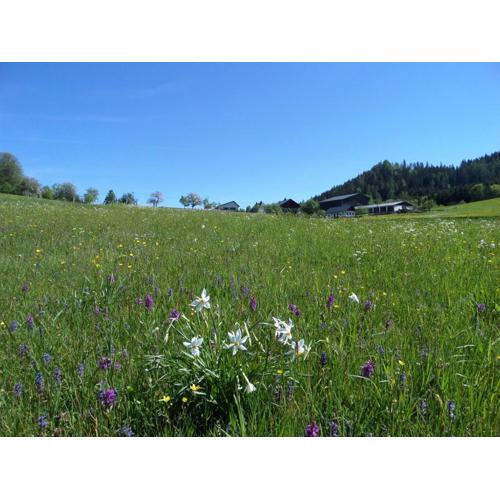 Bauernhof Ablass