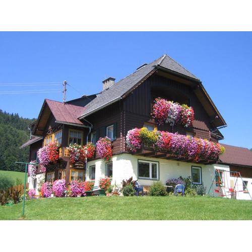 Bauernhof Haim-Schnepfleitner