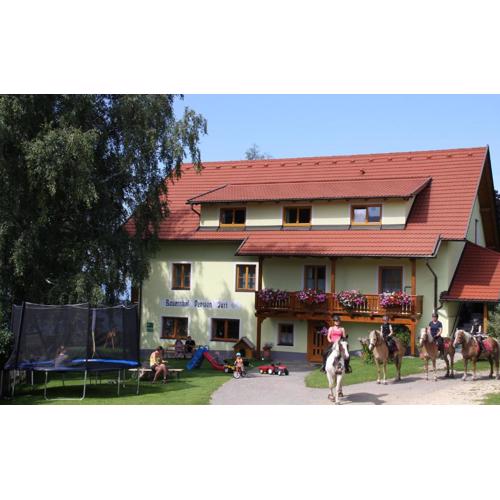 Bauernhof Pension Juri