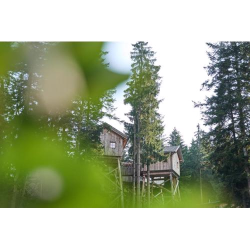 Baumhotel