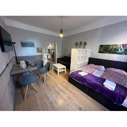 Beautiful 1BR Apt Comfortable Design - Central Located