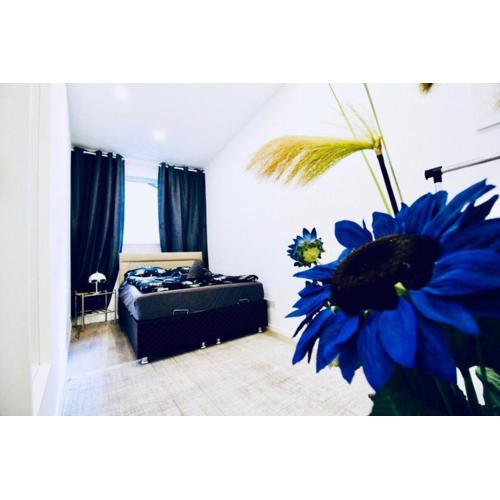 Beautiful 2BR and 1LR Apartment 10 Minutes to St Stephens