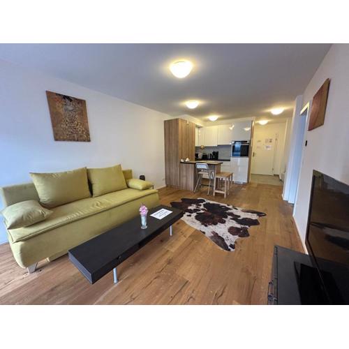 Beauty Apartment Erlachgasse