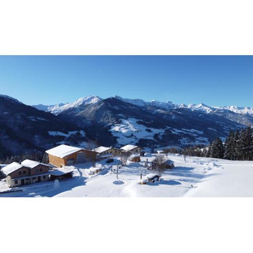 Bergbauernhof Kinderparadies Oberhasenberghof