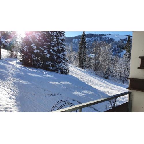 Berghof Appartement 11