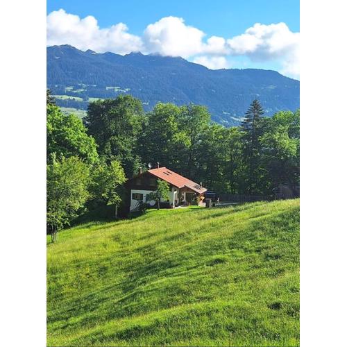 Bergmomente Montafon Ferienhaus Bitschweil