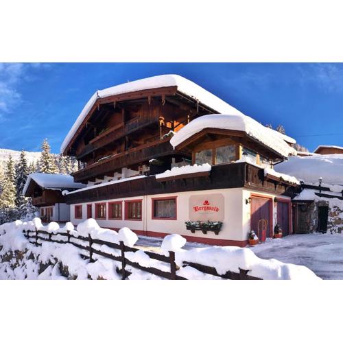 Bergwald Appartements Alpbach