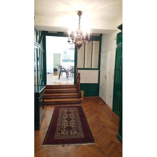 Big Viennese City Apartment with Piano and AC