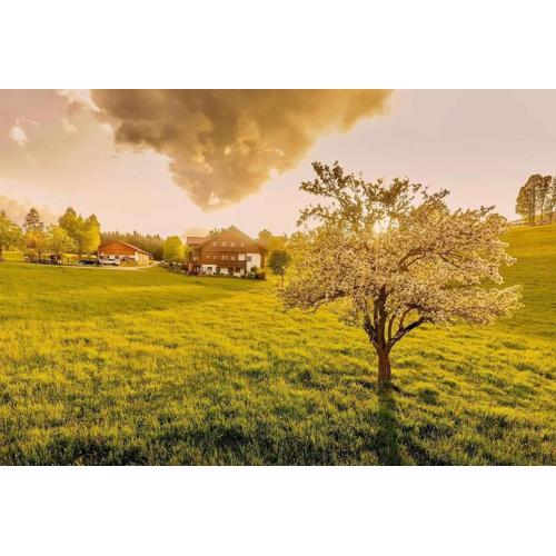 Biobauernhof Brandlhof