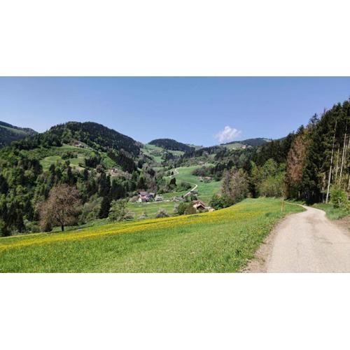 Biobauernhof Kräuter