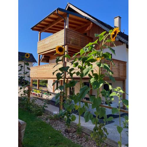 Biohof Auinger, der Tiererlebnishof