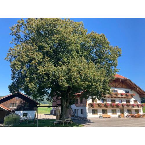 Biohof-Feichtinger