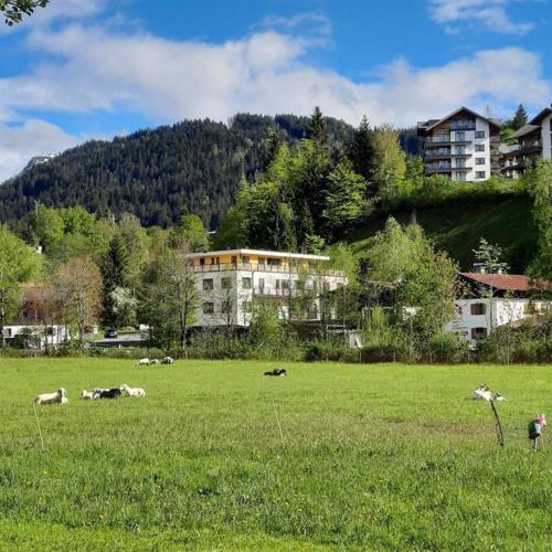 Boutique-Apartments Seminarium F5 Fieberbrunn