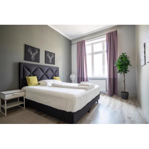 Brand new renovated appartment near Augarten
