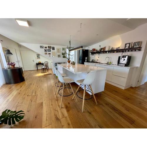 Bright loft 110 sqm with great roof terrace 100 sqm