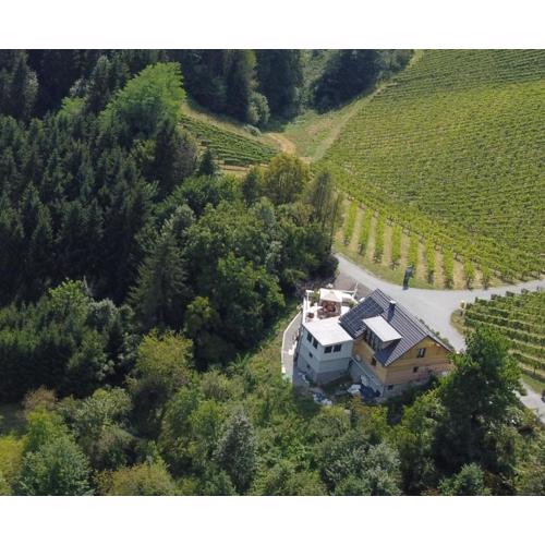 Bullas Weinlandstudio