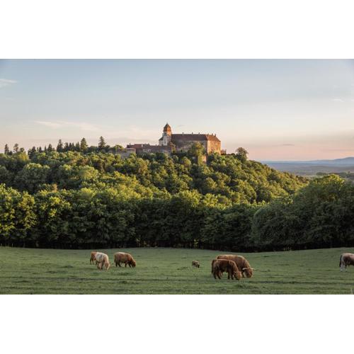 Burg Bernstein